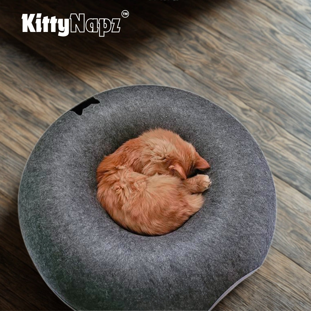 Kitty Napz™