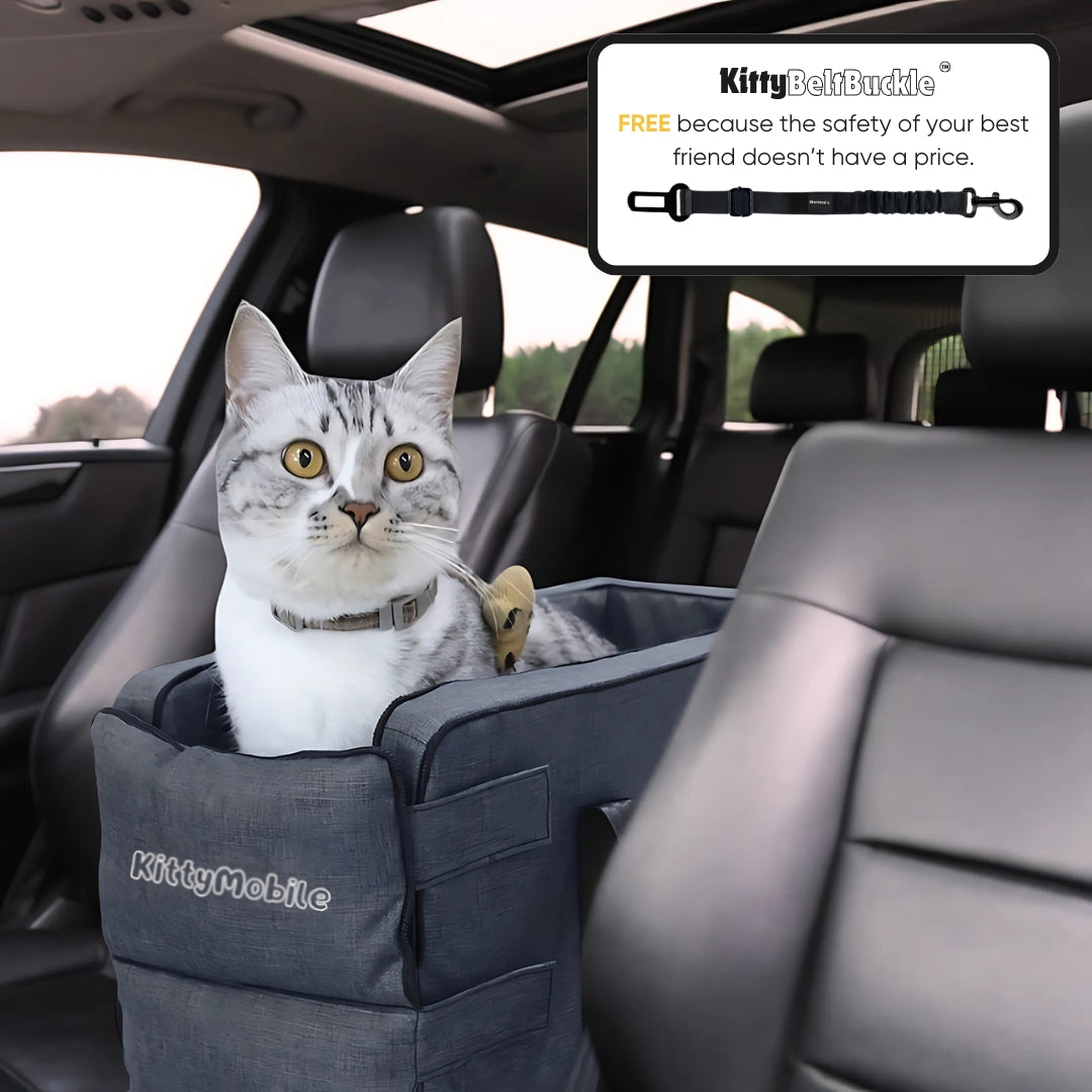 KittyMobile™