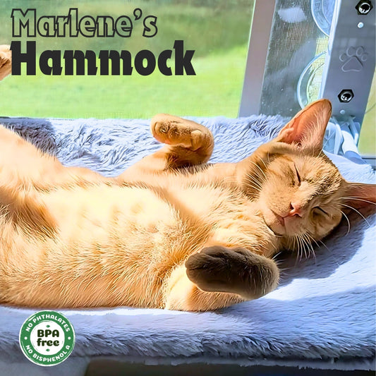 Marlene’s Signature Hammock™