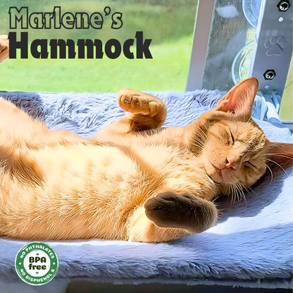 Kitty Kurlz Nap Palace Bundle